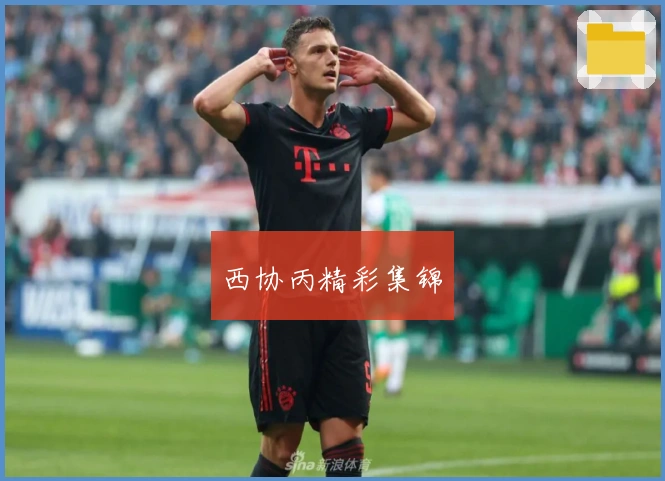 西协丙精彩集锦