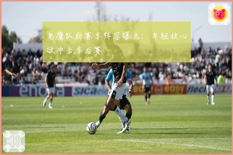 老鹰队新赛季阵容曝光：年轻核心欲冲击季后赛